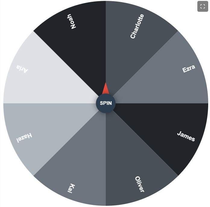 Monochrome theme Color for Spin In Wheel